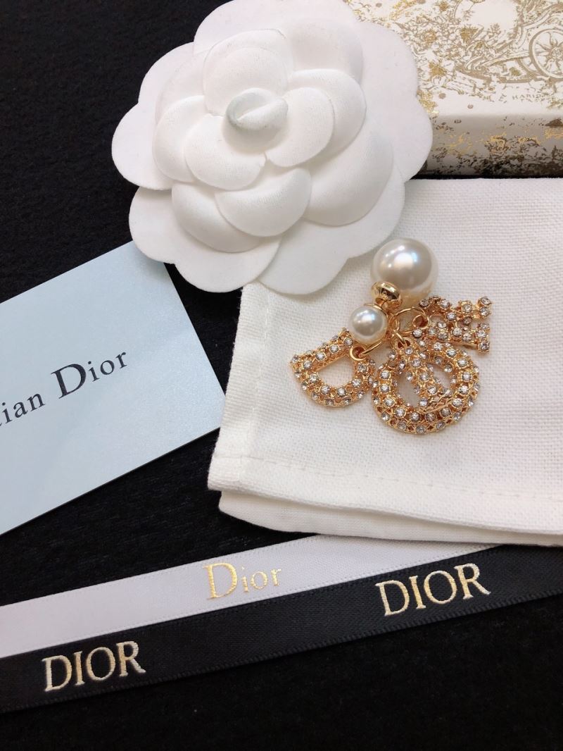 Christian Dior Earrings